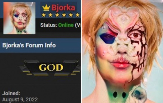 Dari Unggah Sampel Data ke Penjara: Kronologi Penangkapan Hacker Bjorka
